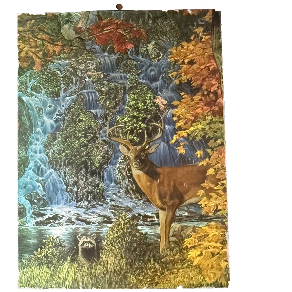 Vintage Rocky Mountain National Park Wooden Keepsake Box Van Straalen Deer Art